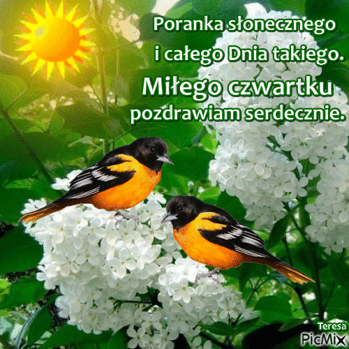 Gify Milego Dnia Gify I Obrazki Na Gifyagusi Pl