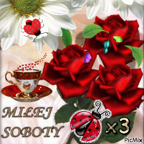 Gify Sobota Gify I Obrazki Na Gifyagusi Pl