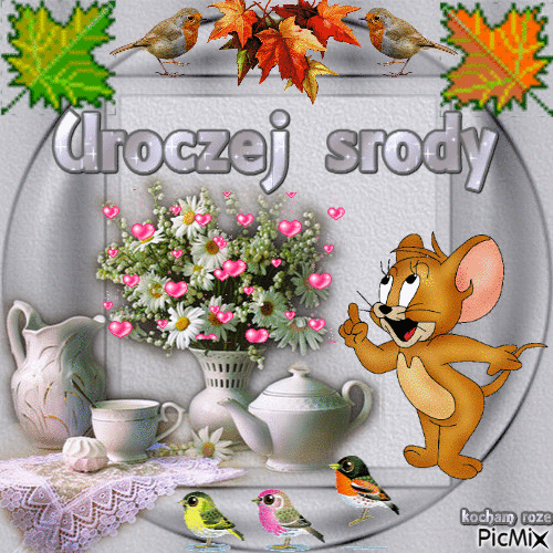 https://img.gifyagusi.pl/2019/08/28/obrazek-gif/sroda/Jerry%20%C5%BCyczy%20uroczej%20%C5%9Brody.gif