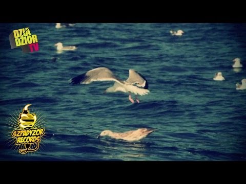 DonGuralEsko - Betonowe lasy mokną