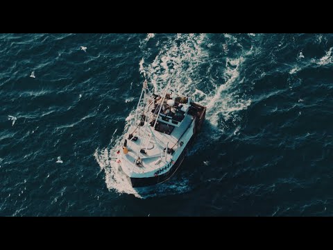 Luka Rosi - Wolny jak wiatr